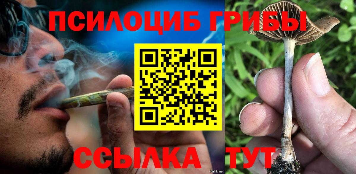 Псилоцибиновые грибы Psilocybe Солнечногорск