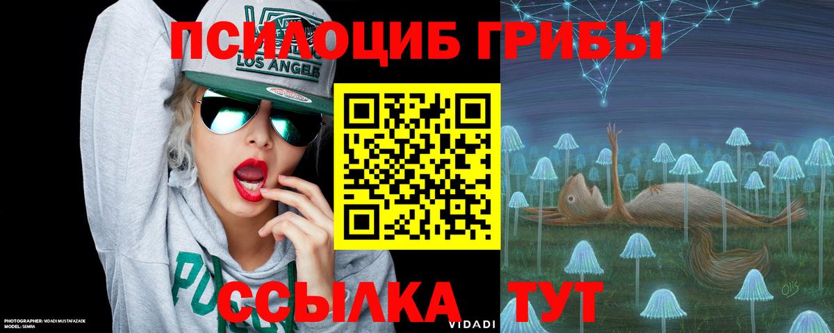 Солнечногорск  Псилоцибиновые грибы Psilocybine cubensis  Вход с VPN  Псилоцибиновые грибы Psilocybe 